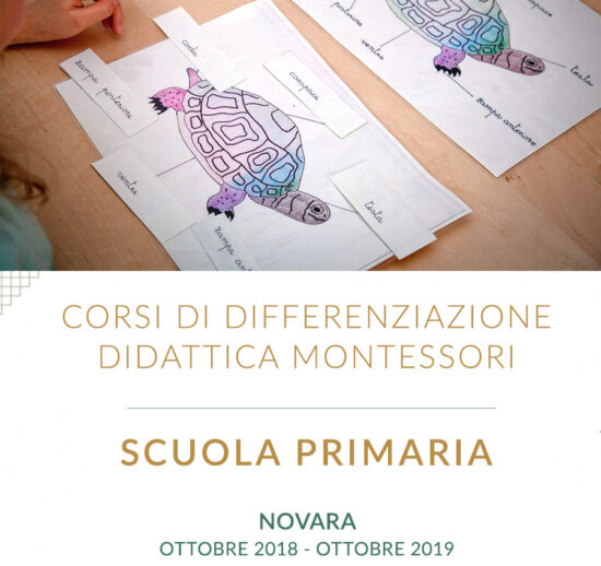 Corso di differenzazione didattica per docenti della Scuola primaria - Novara